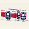 Best Day Brewing | Wild American Pilsner 6 Pack