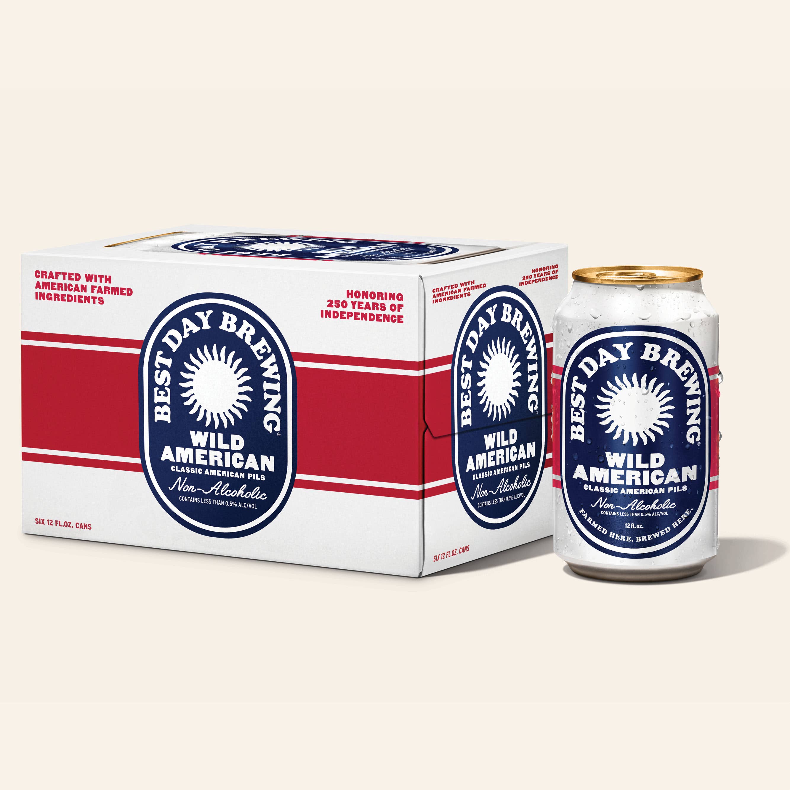 Best Day Brewing | Wild American Pilsner 6 Pack