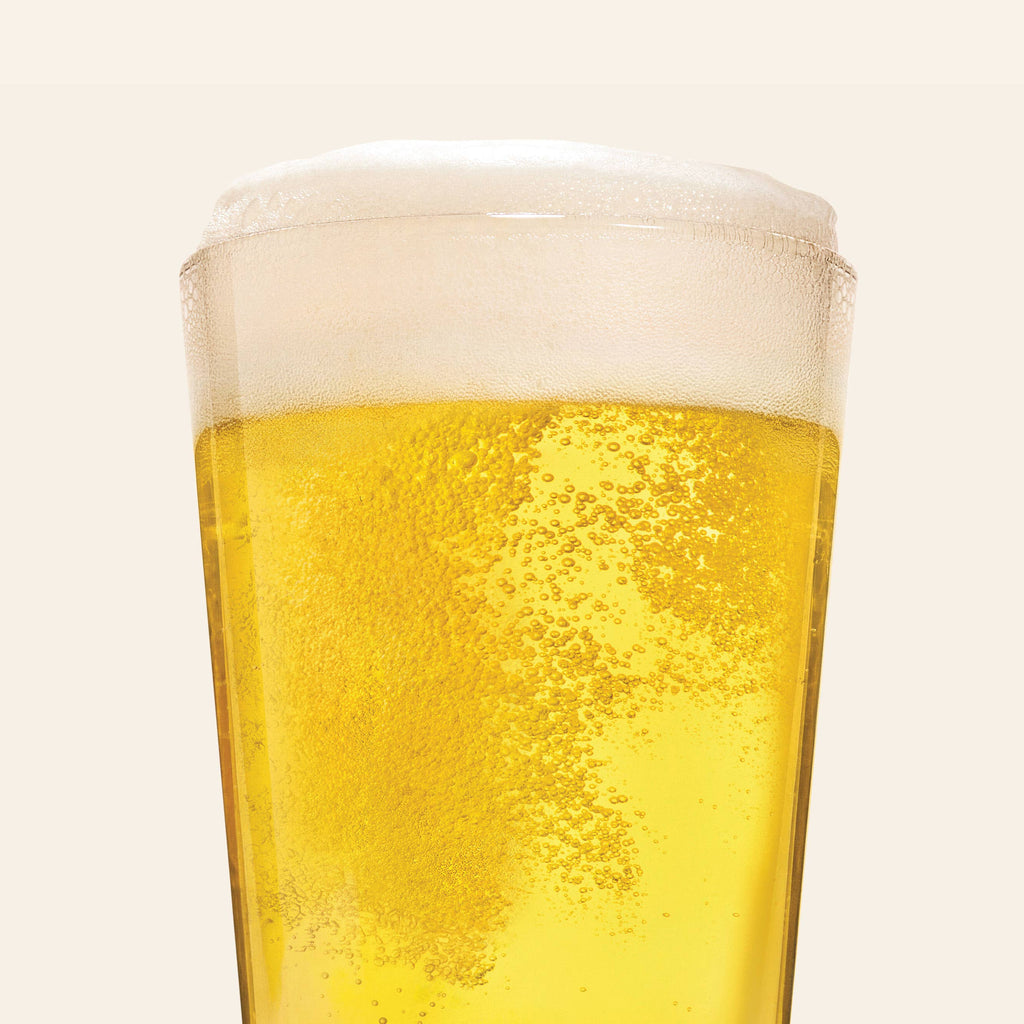 Best Day Brewing | Wild American Pilsner 6 Pack