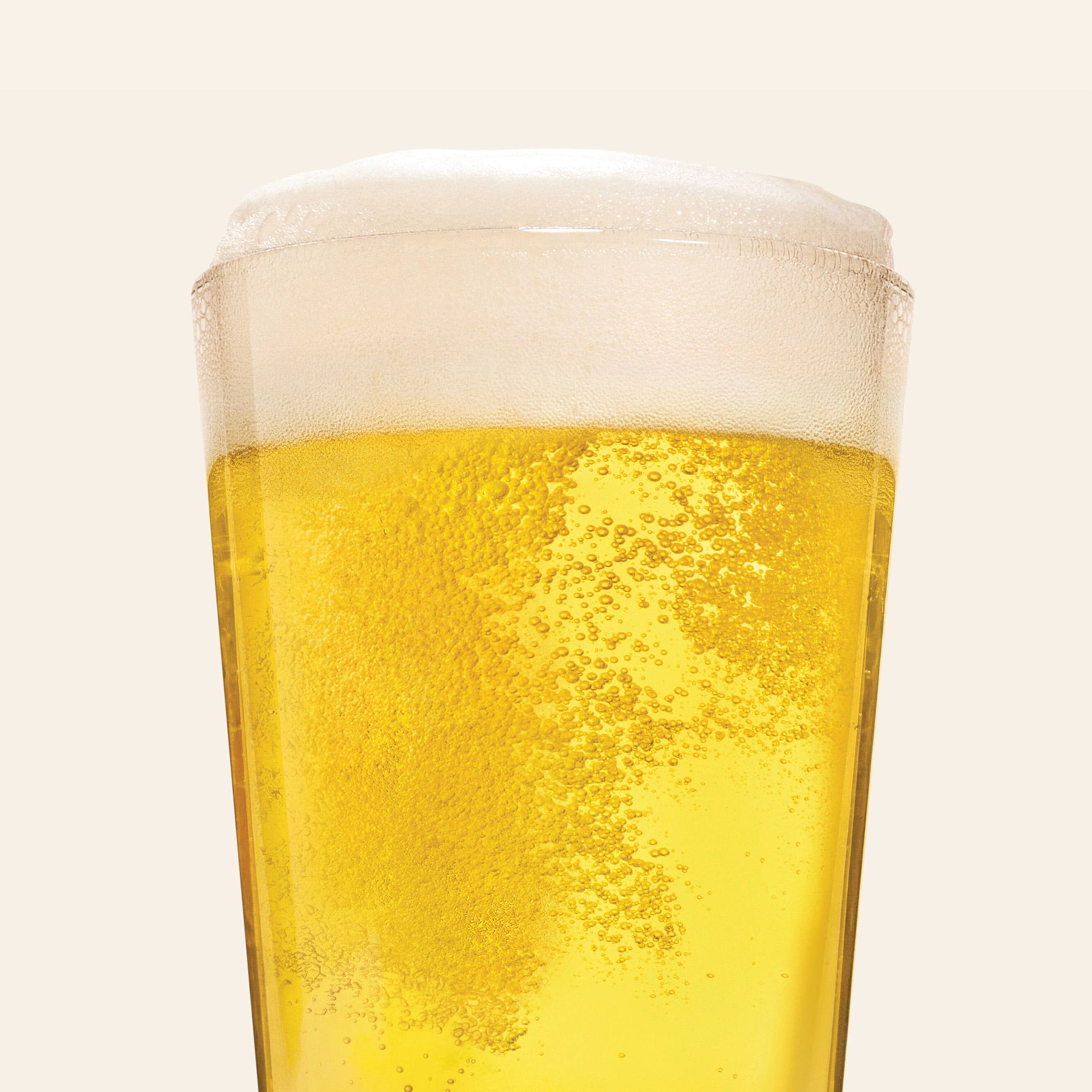 Best Day Brewing | Wild American Pilsner 6 Pack