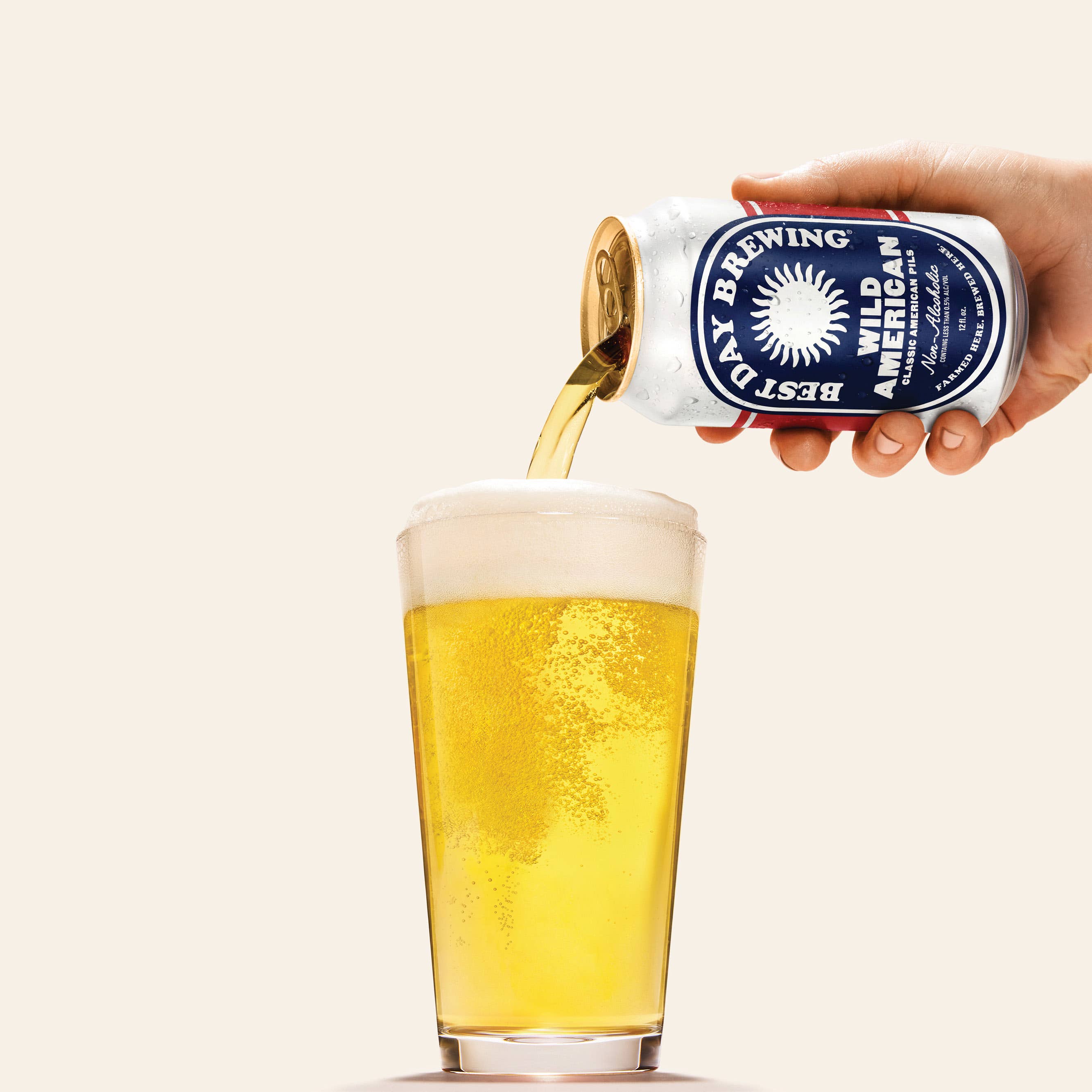 Best Day Brewing | Wild American Pilsner 6 Pack