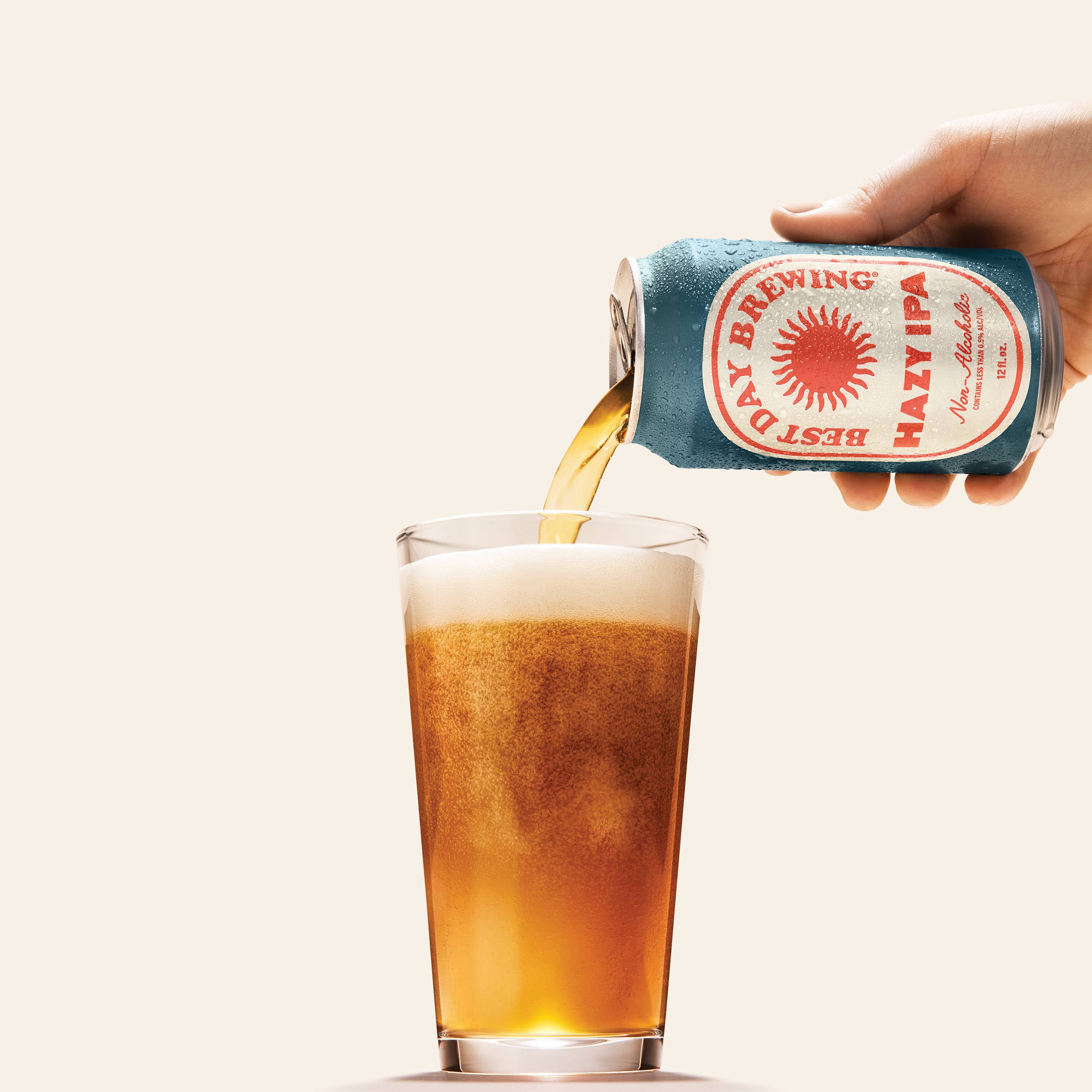 Best Day Brewing | Hazy IPA 6 Pack