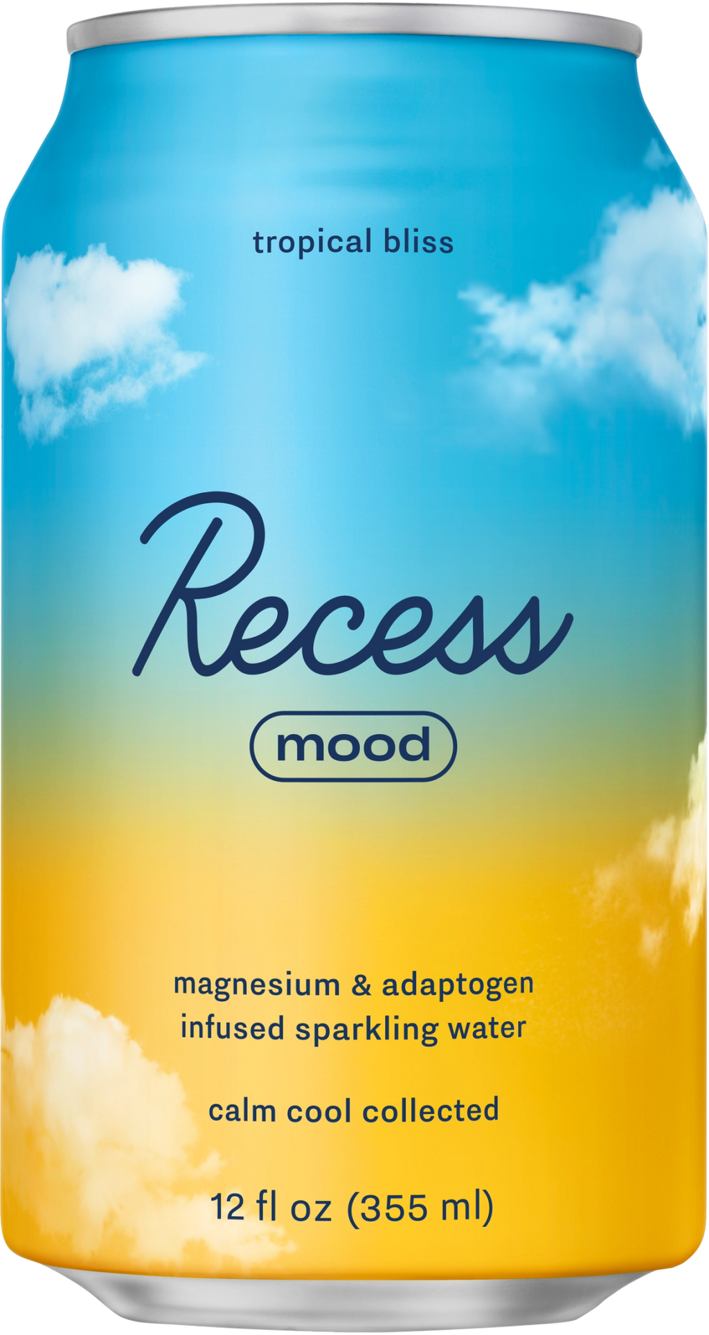 Recess Mood | Tropical Bliss