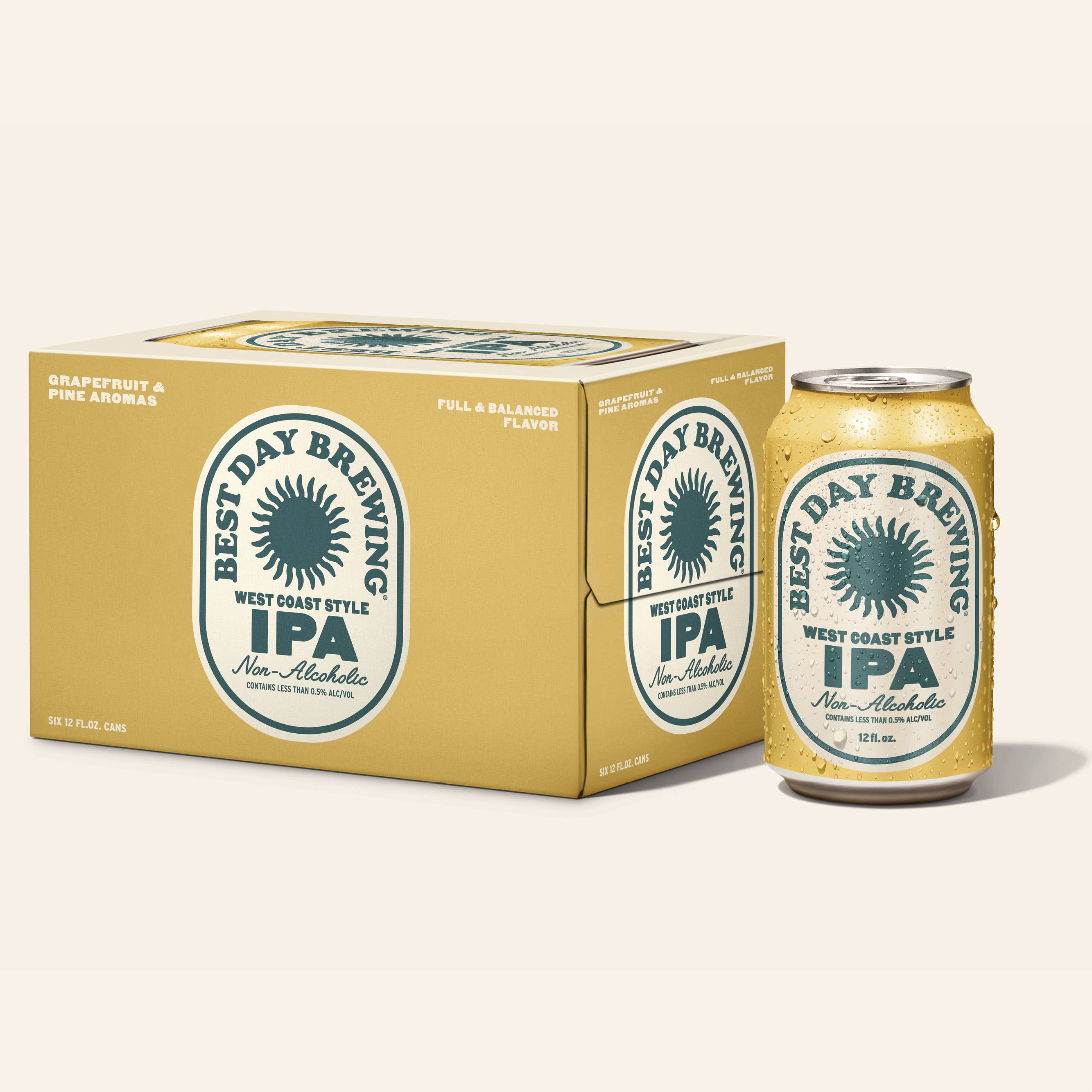Best Day Brewing | West Coast IPA 6 Pack