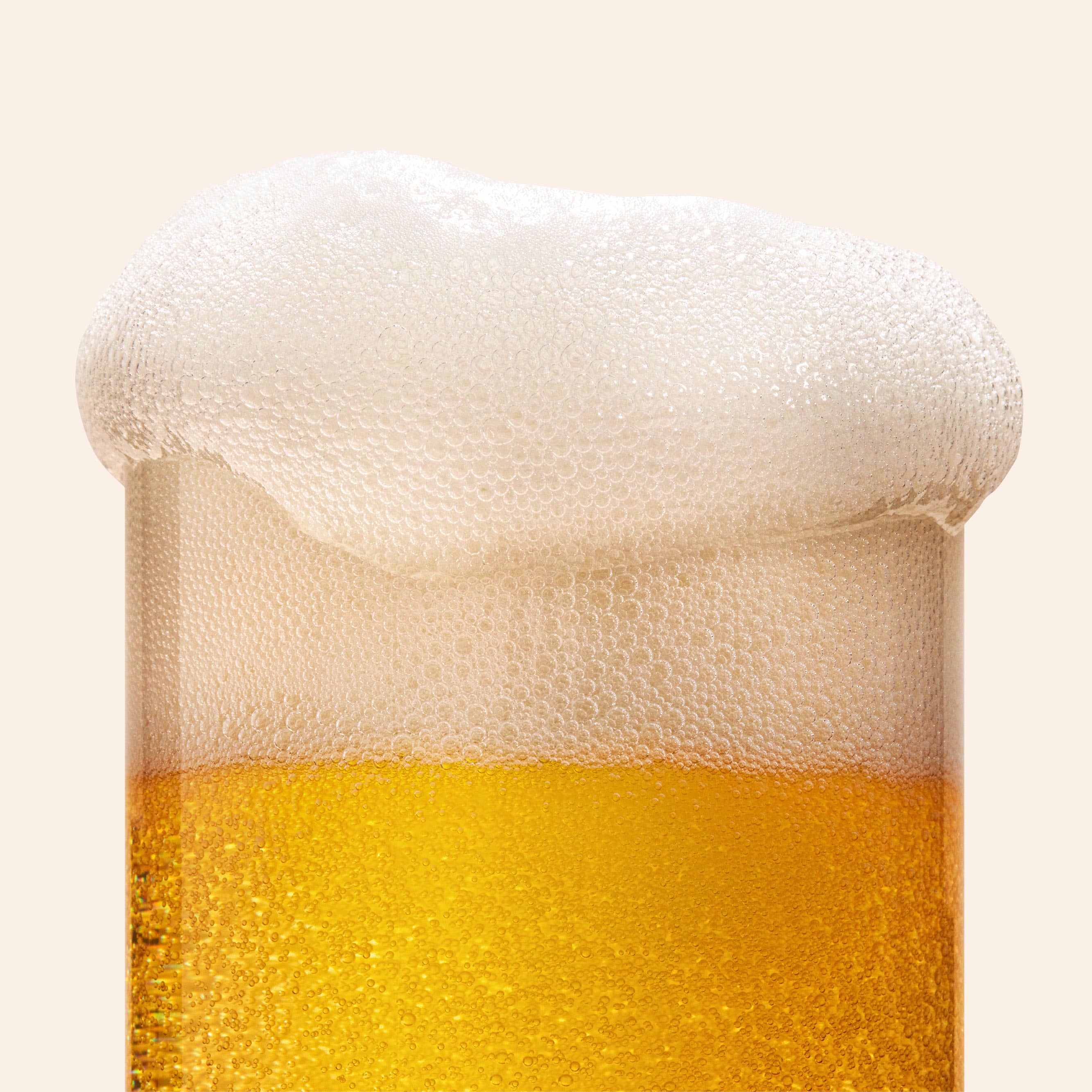 Best Day Brewing | Kölsch 6 Pack