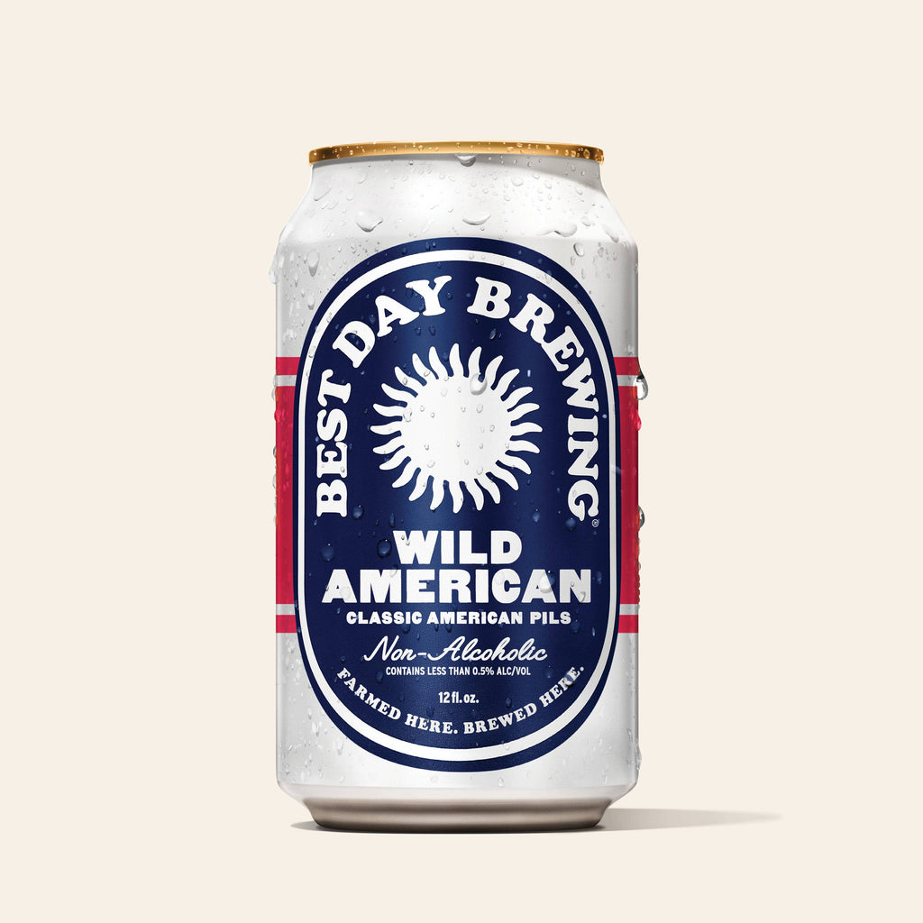 Best Day Brewing | Wild American Pilsner 6 Pack