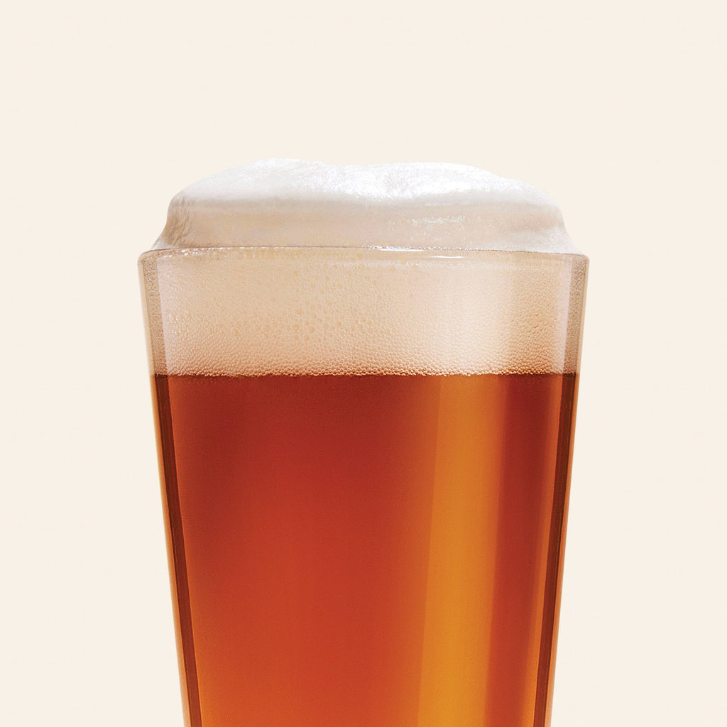Best Day Brewing | Hazy IPA 6 Pack