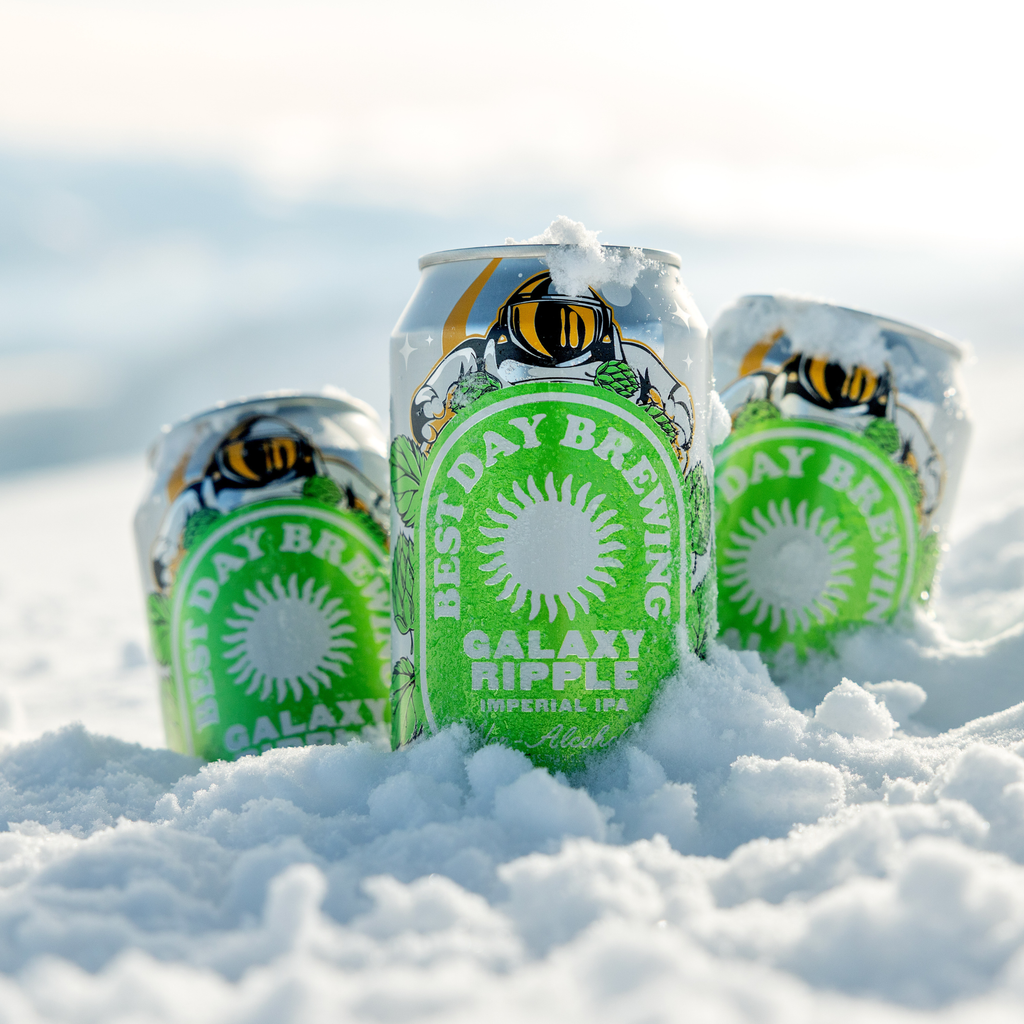 Best Day Brewing | IPA Variety 12-Pack