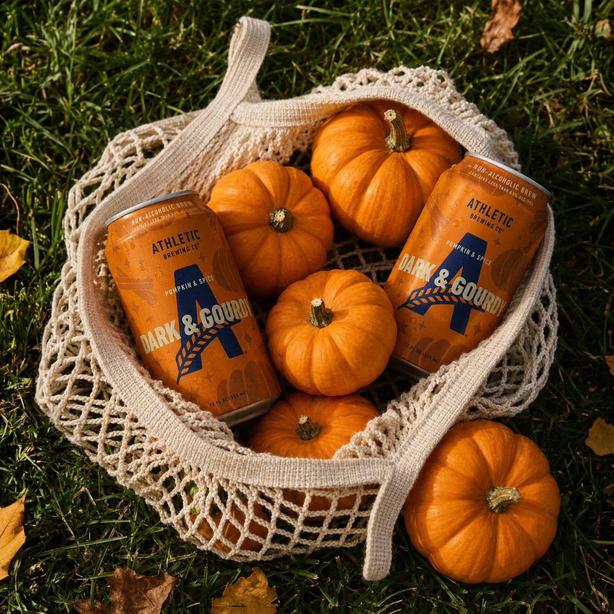 Athletic | Dark & Gourdy 6 Pack